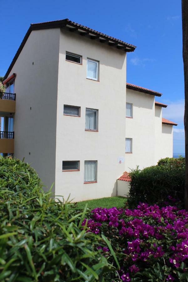 Holidaynorthtenerife Exotic Apartament 로스 레알레호스 외부 사진