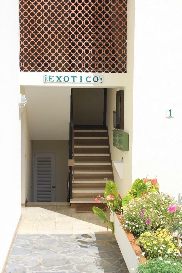 Holidaynorthtenerife Exotic Apartament 로스 레알레호스 외부 사진