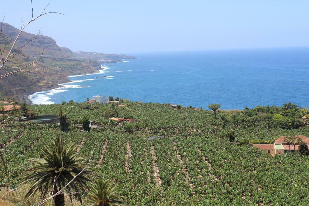 Holidaynorthtenerife Exotic Apartament 로스 레알레호스 외부 사진