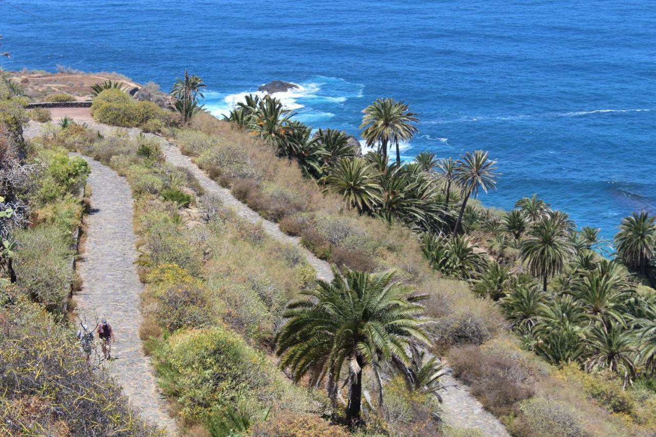 Holidaynorthtenerife Exotic Apartament 로스 레알레호스 외부 사진